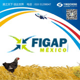 2021年第9届美洲（墨西哥）国际家禽畜牧展